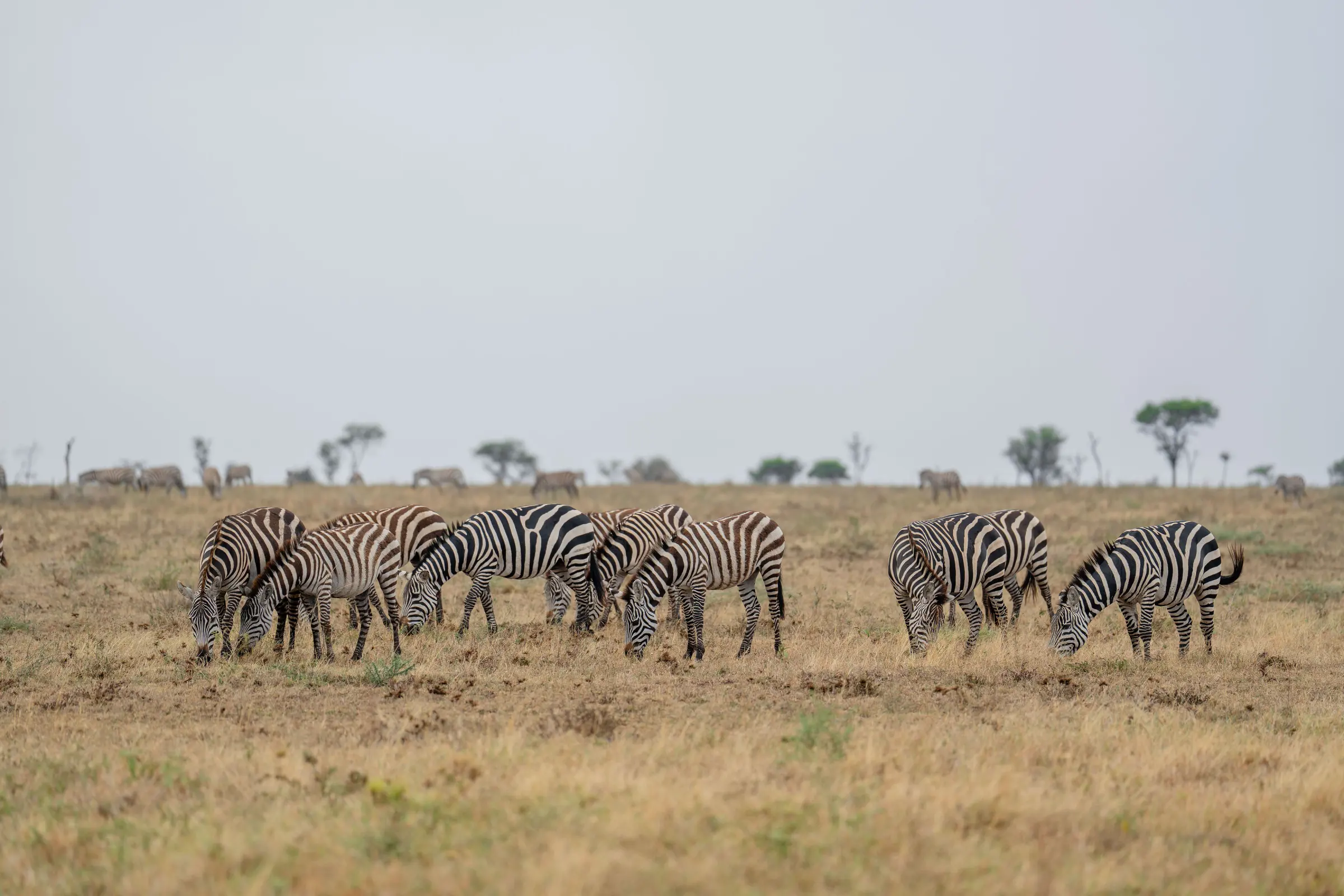 Serengeti National Park
