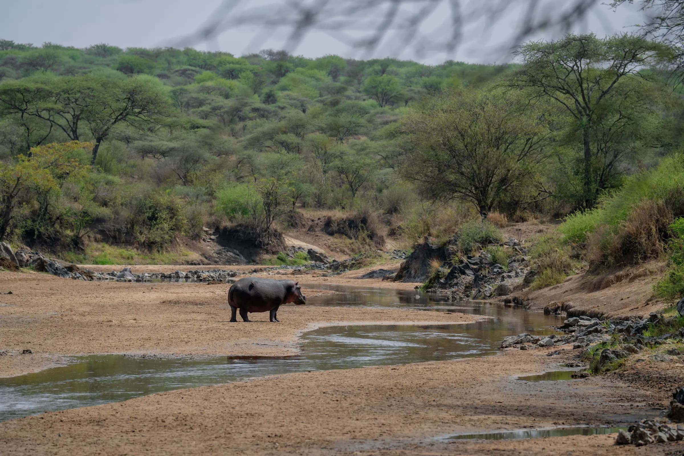A landscape from Lucky Wild’s Tanzania safari collection