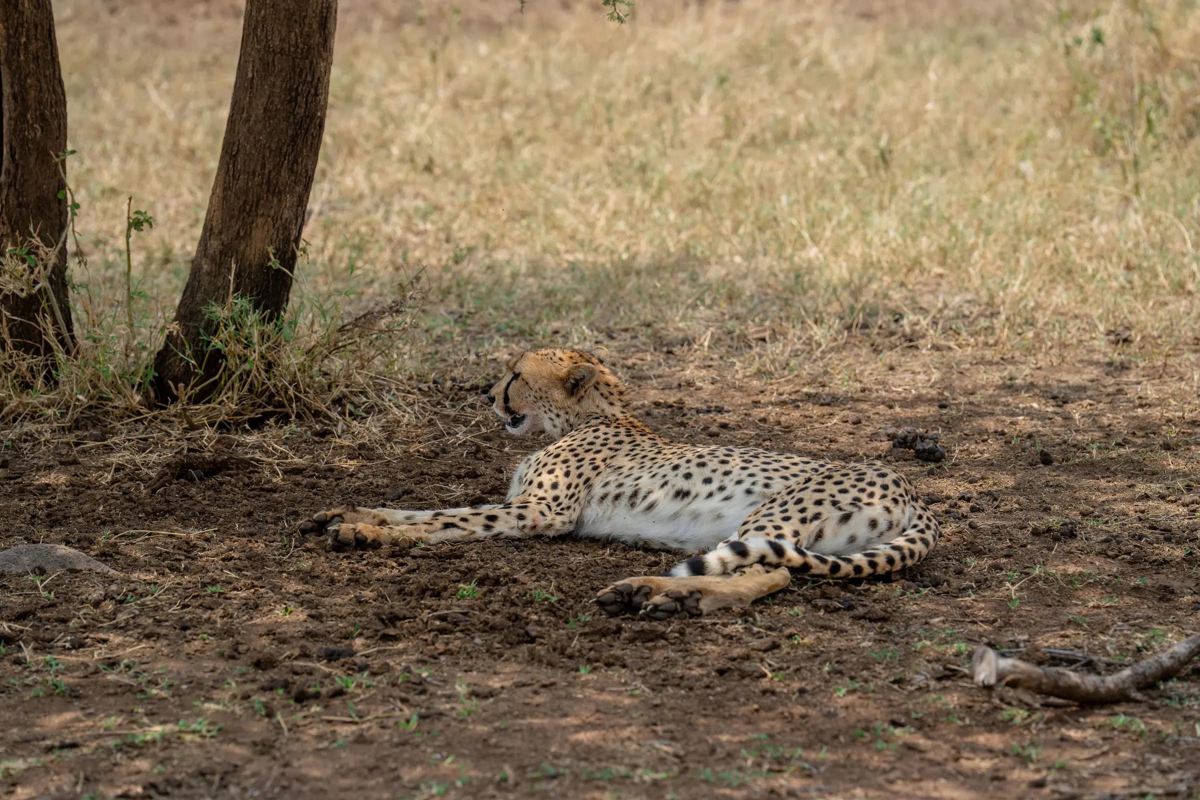 Serengeti National Park