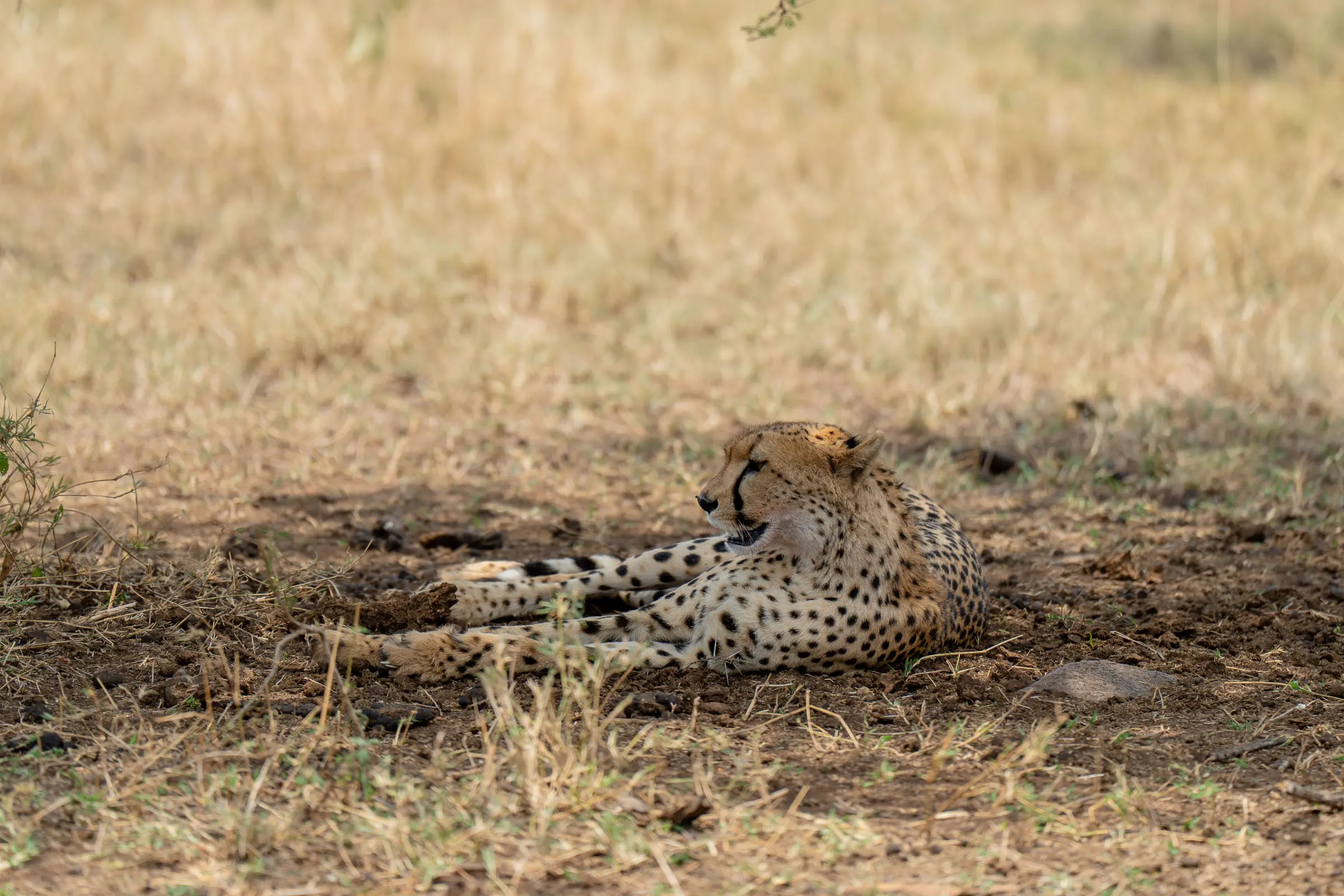 Serengeti National Park