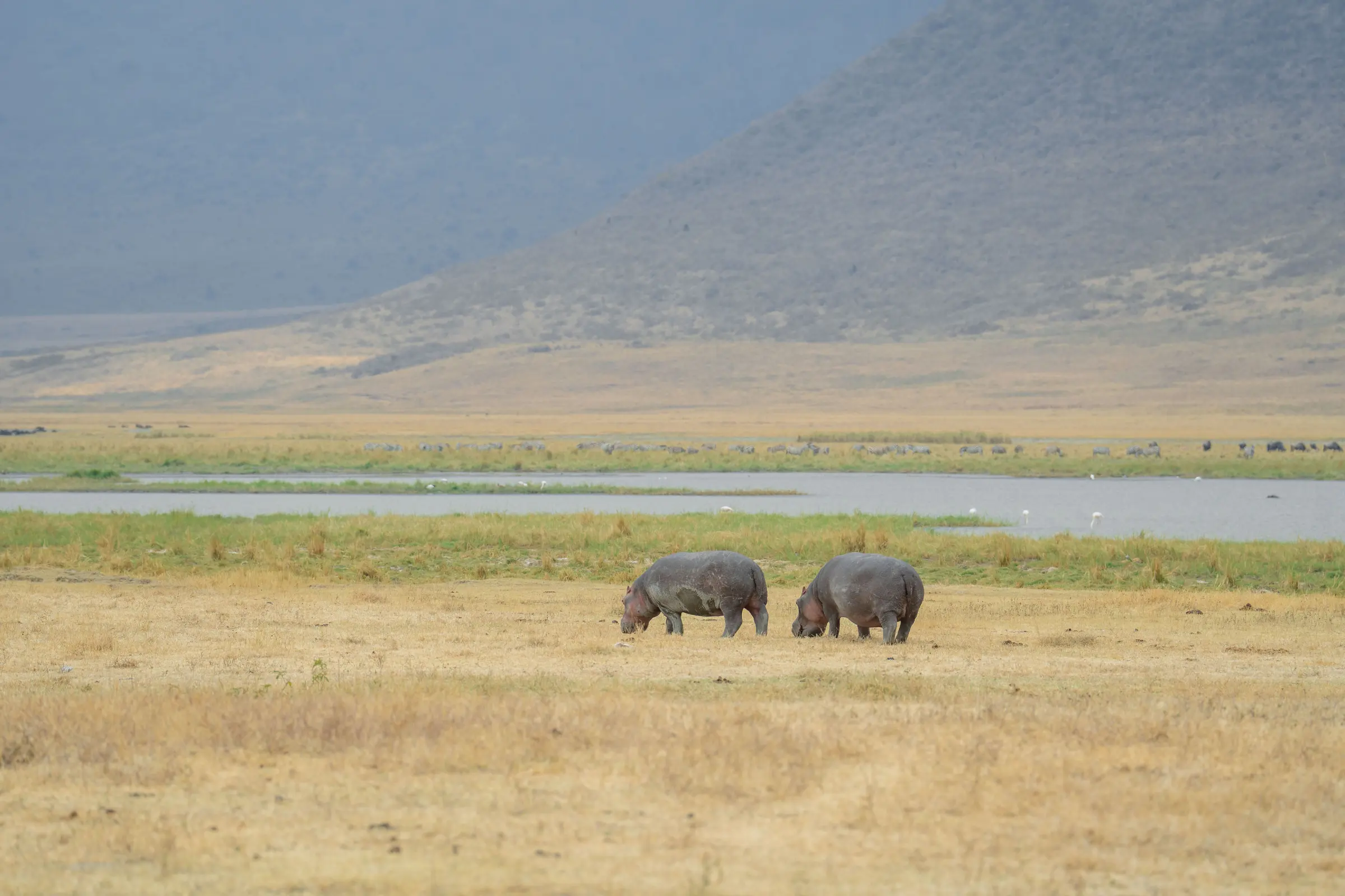Ngorongoro Crater