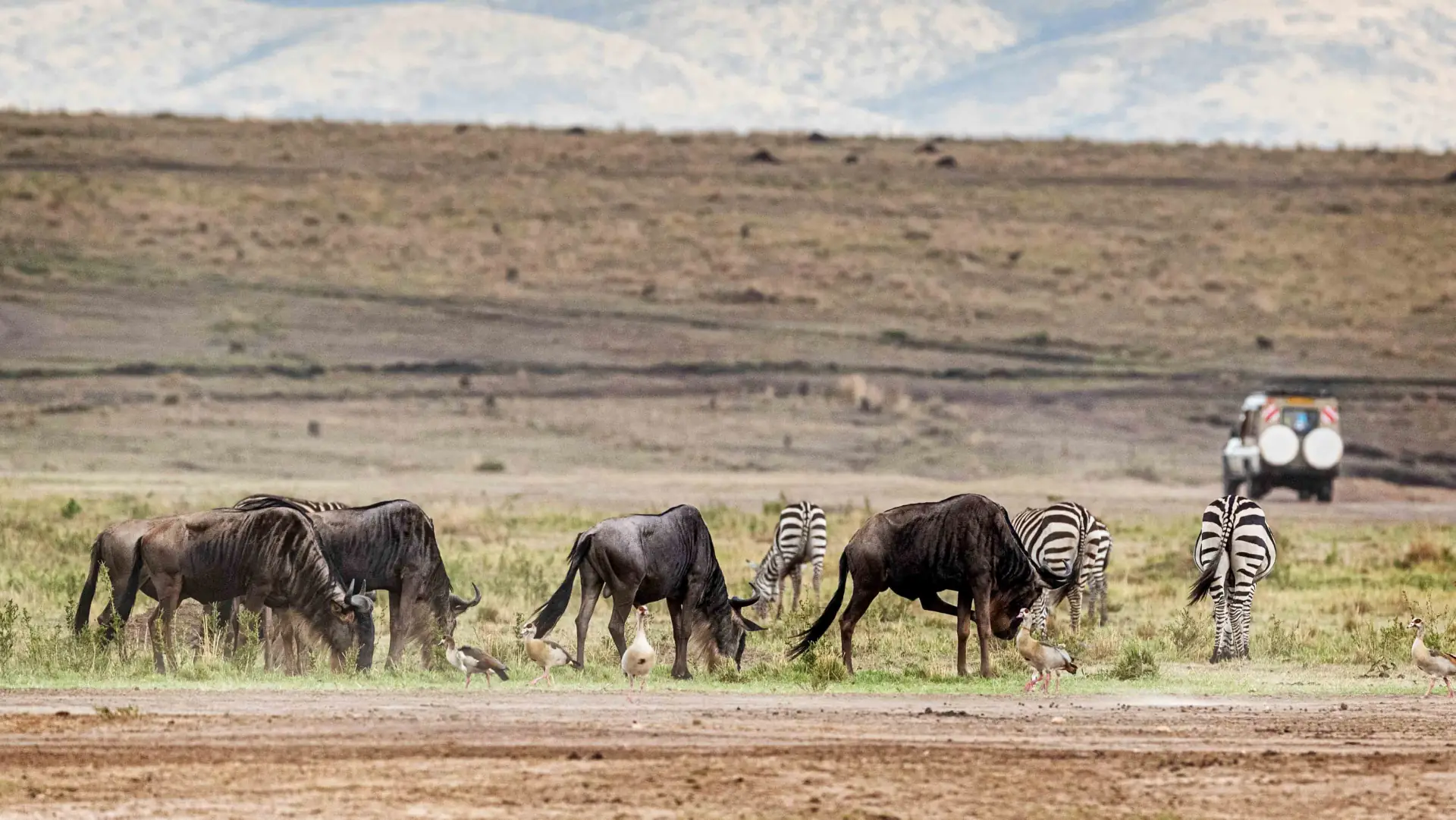 Ngorongoro Crater landscape