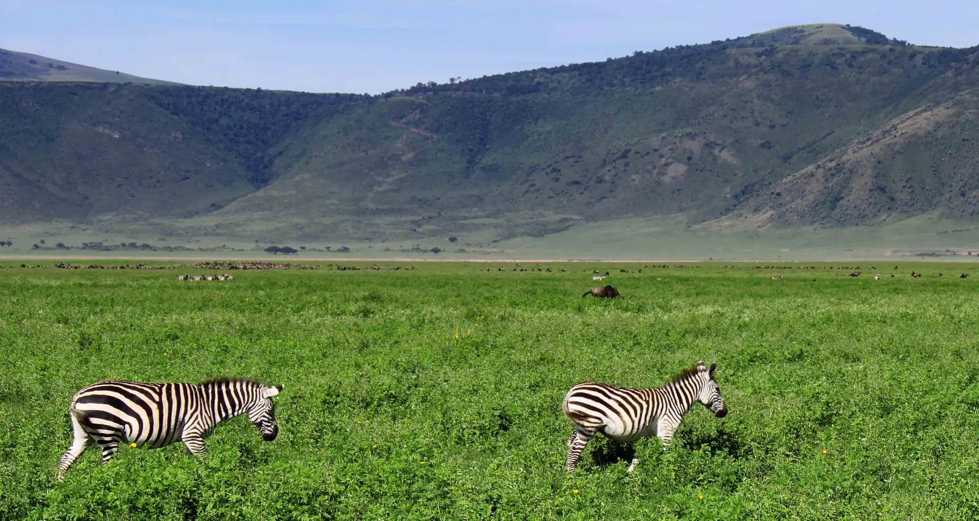 Ngorongoro Crater landscape