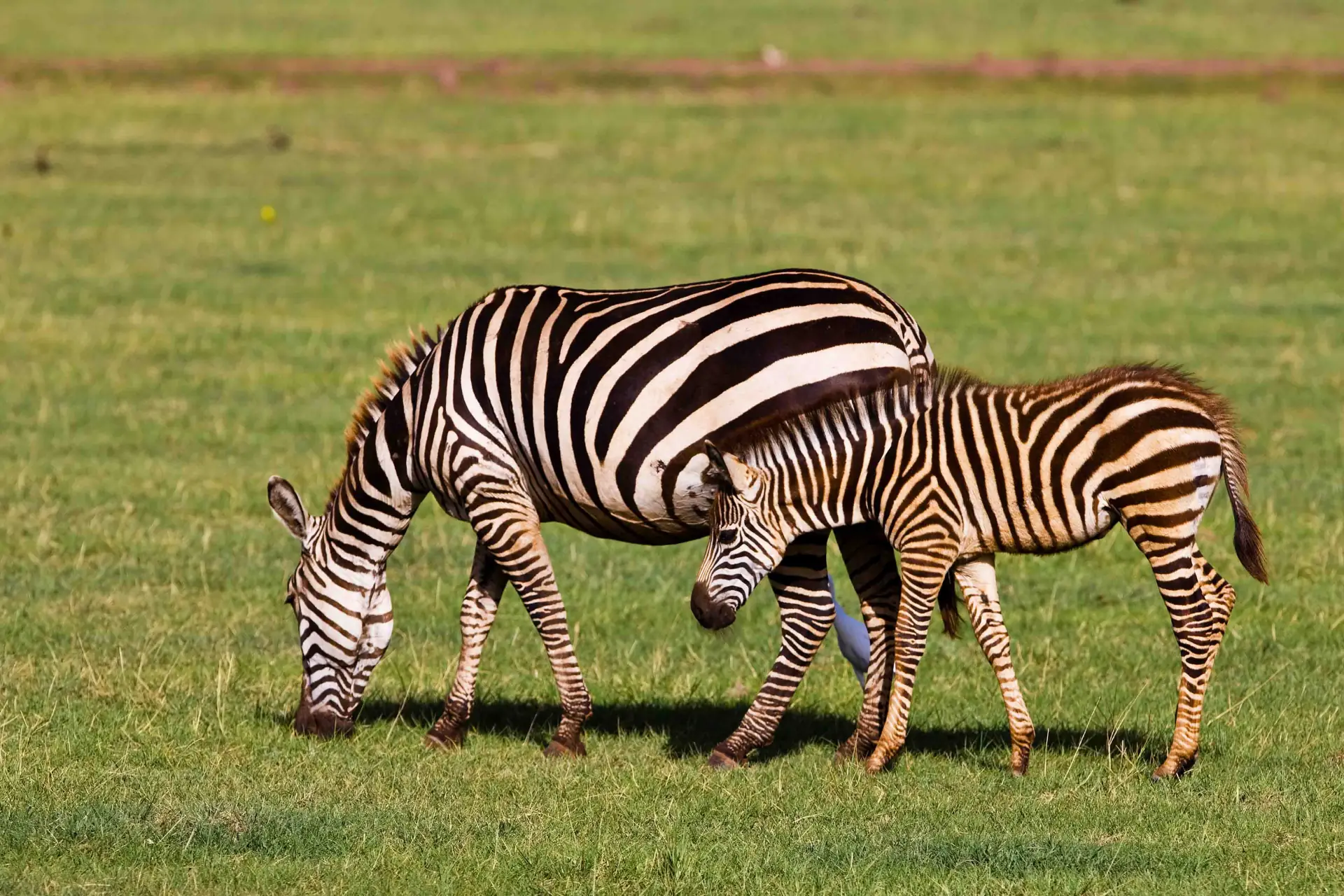 A landscape from our Tanzania travel collection