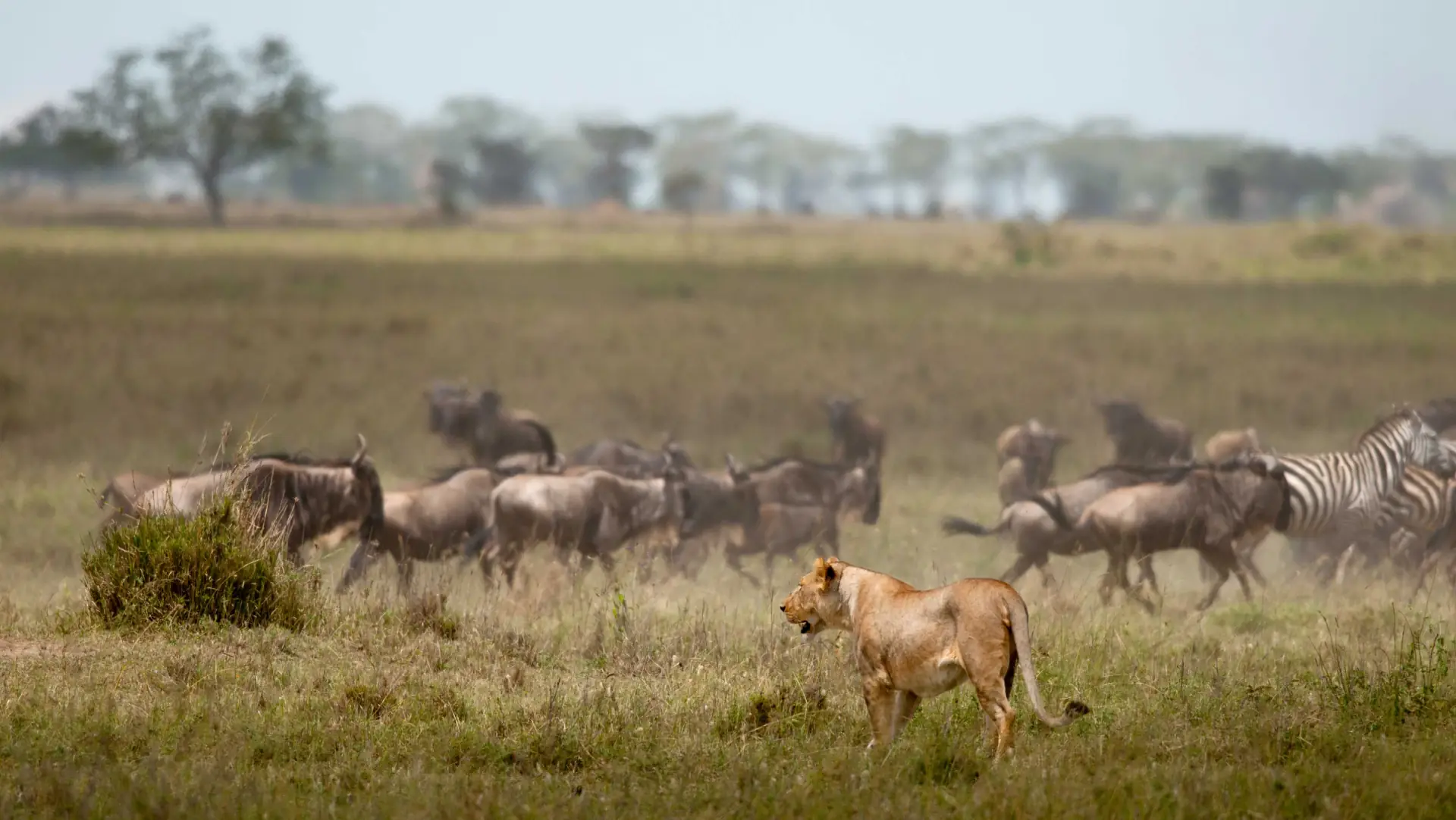 A landscape from our Tanzania travel collection