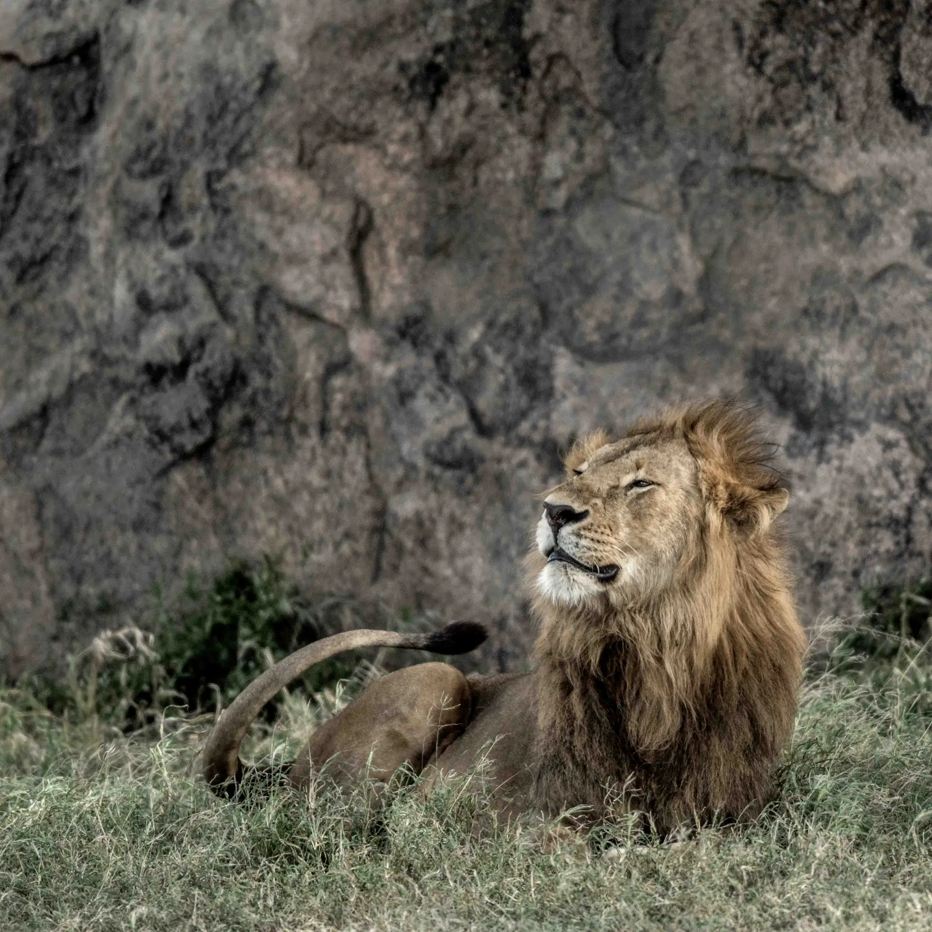 Arusha National Park