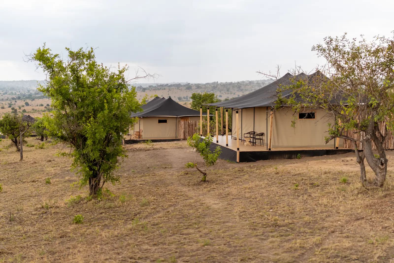 Gnus Lair, Northern Serengeti — photo 5
