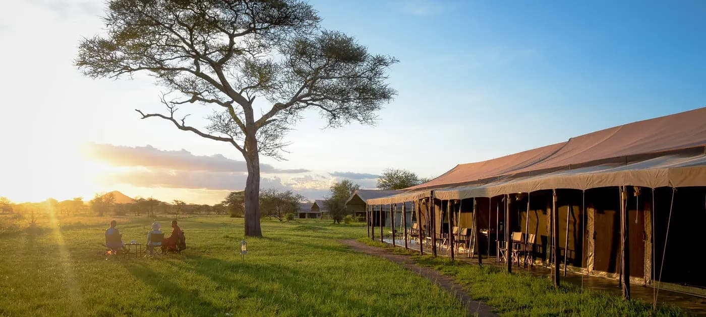 ThornTree Camp