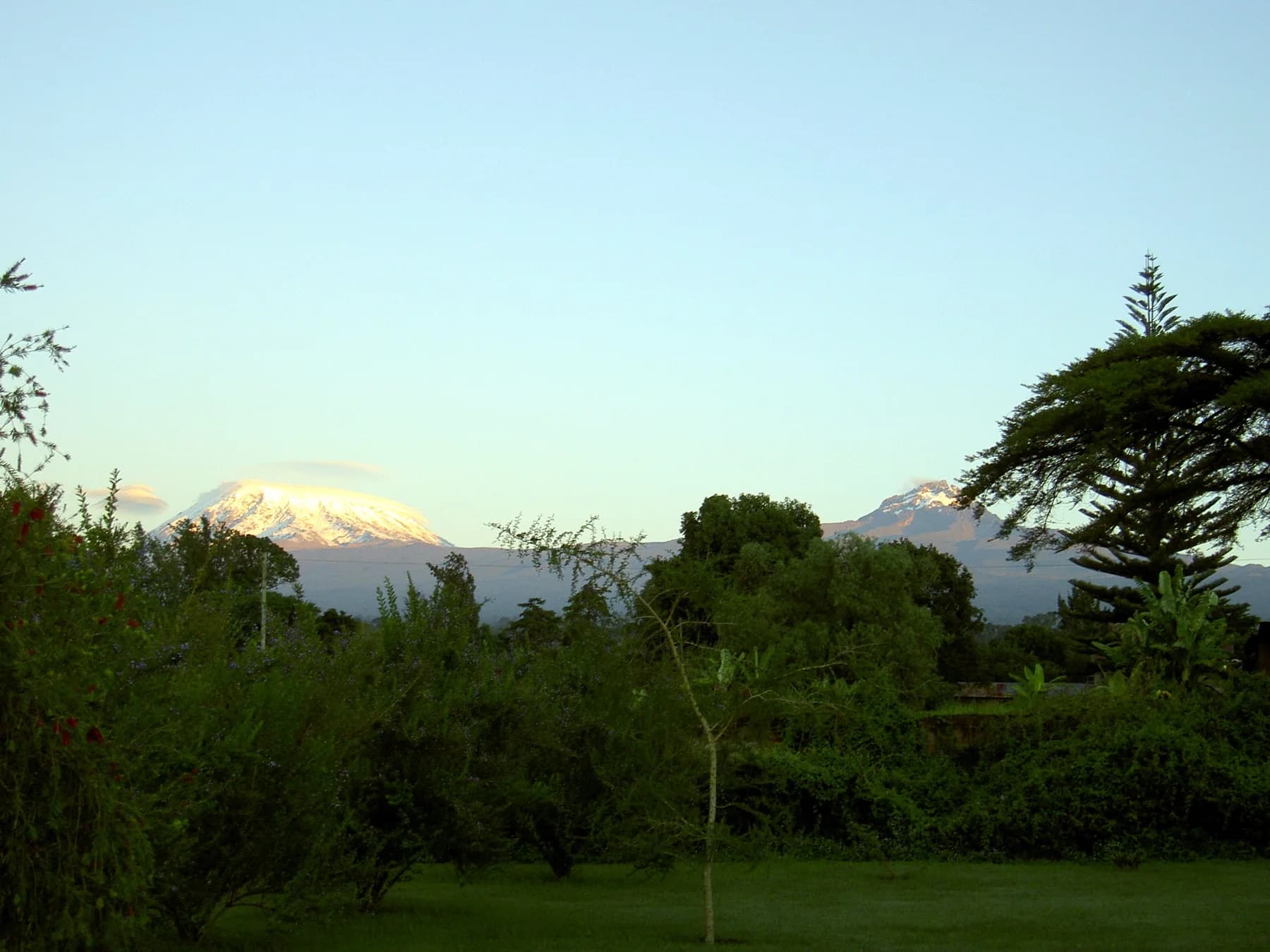 Kilimanjaro’s Kibo and Mawenzi peaks above the trees