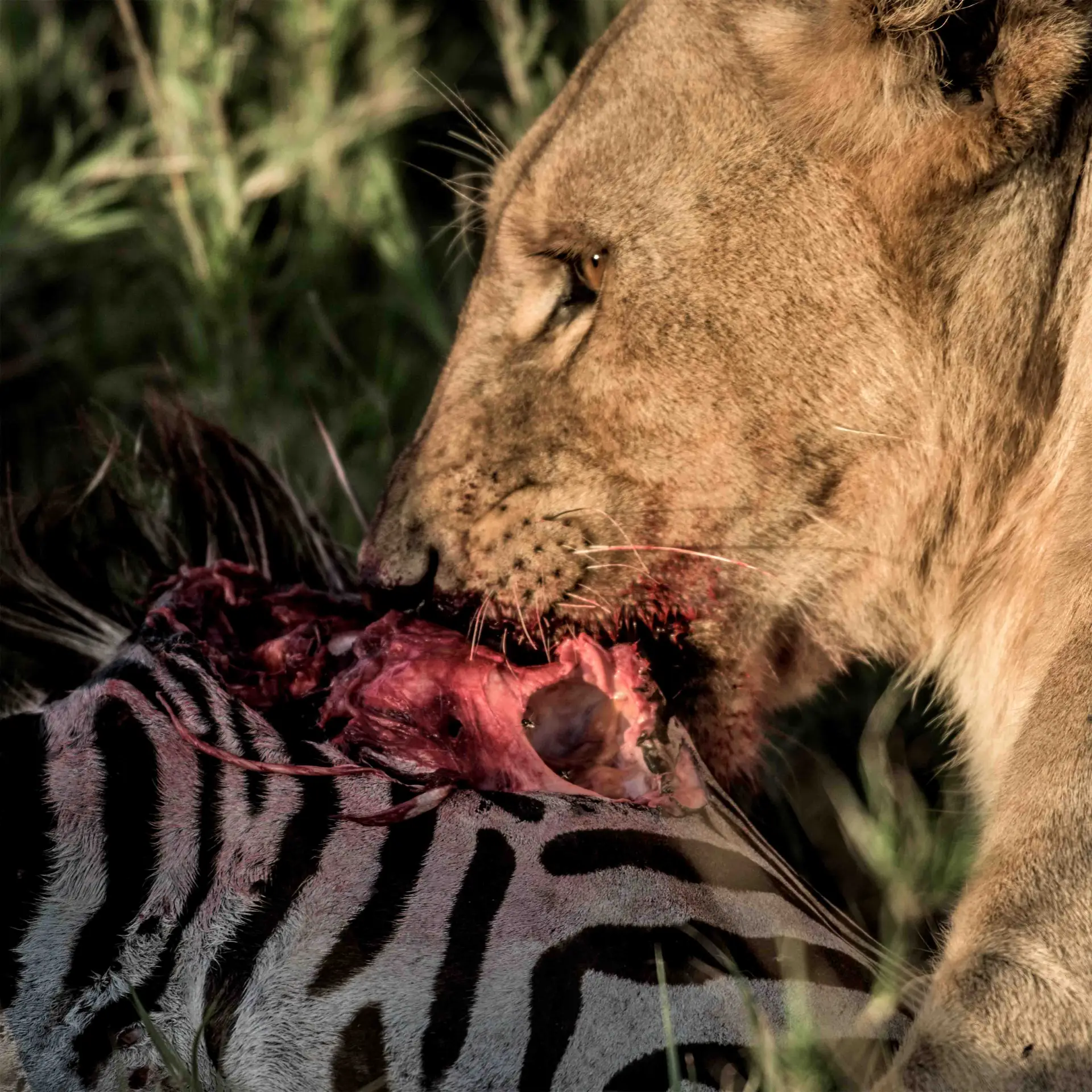 Lake Manyara