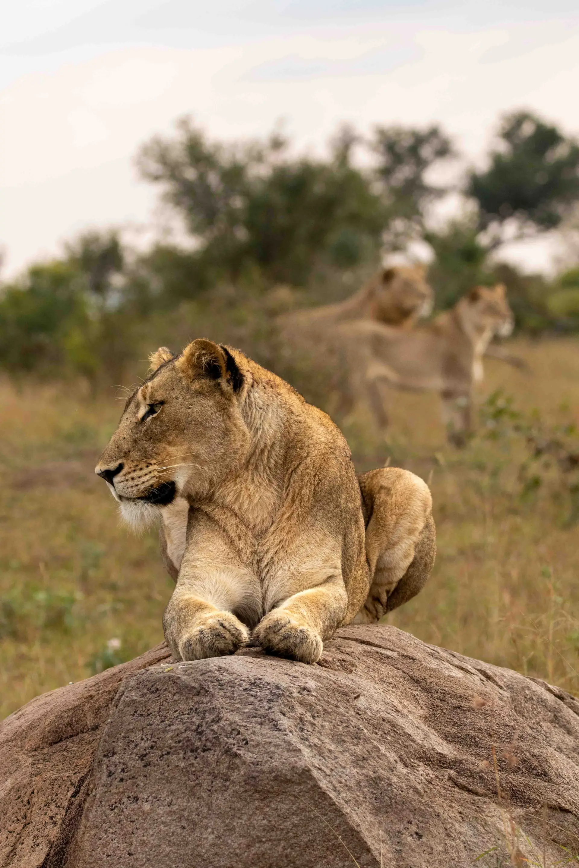 Tarangire National Park