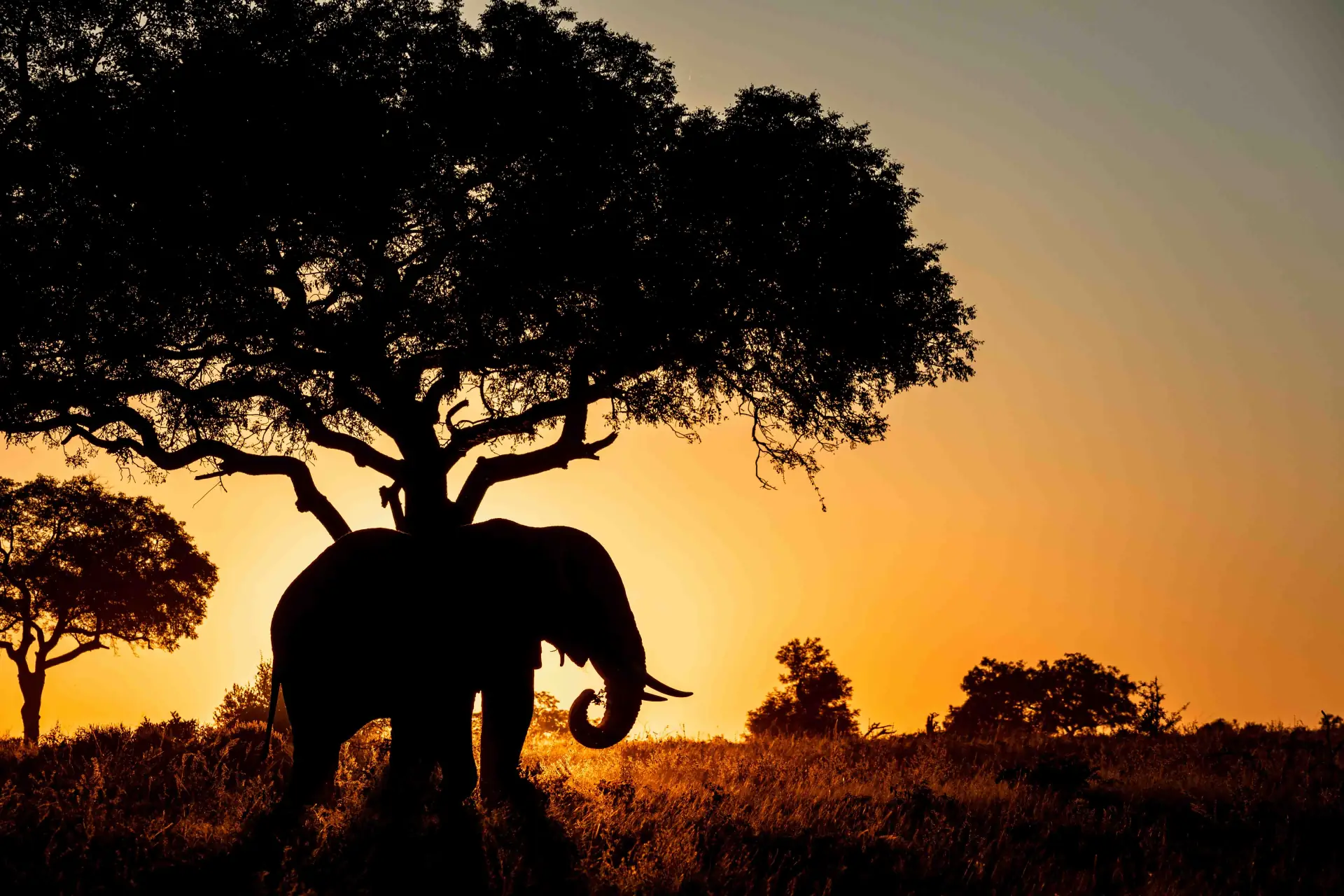 Full Day Serengeti