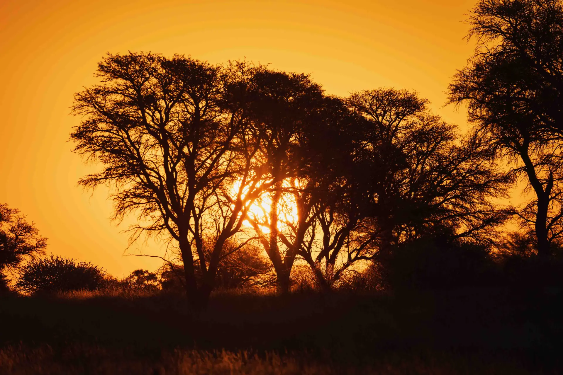 3-Day Serengeti Fly-in Safari