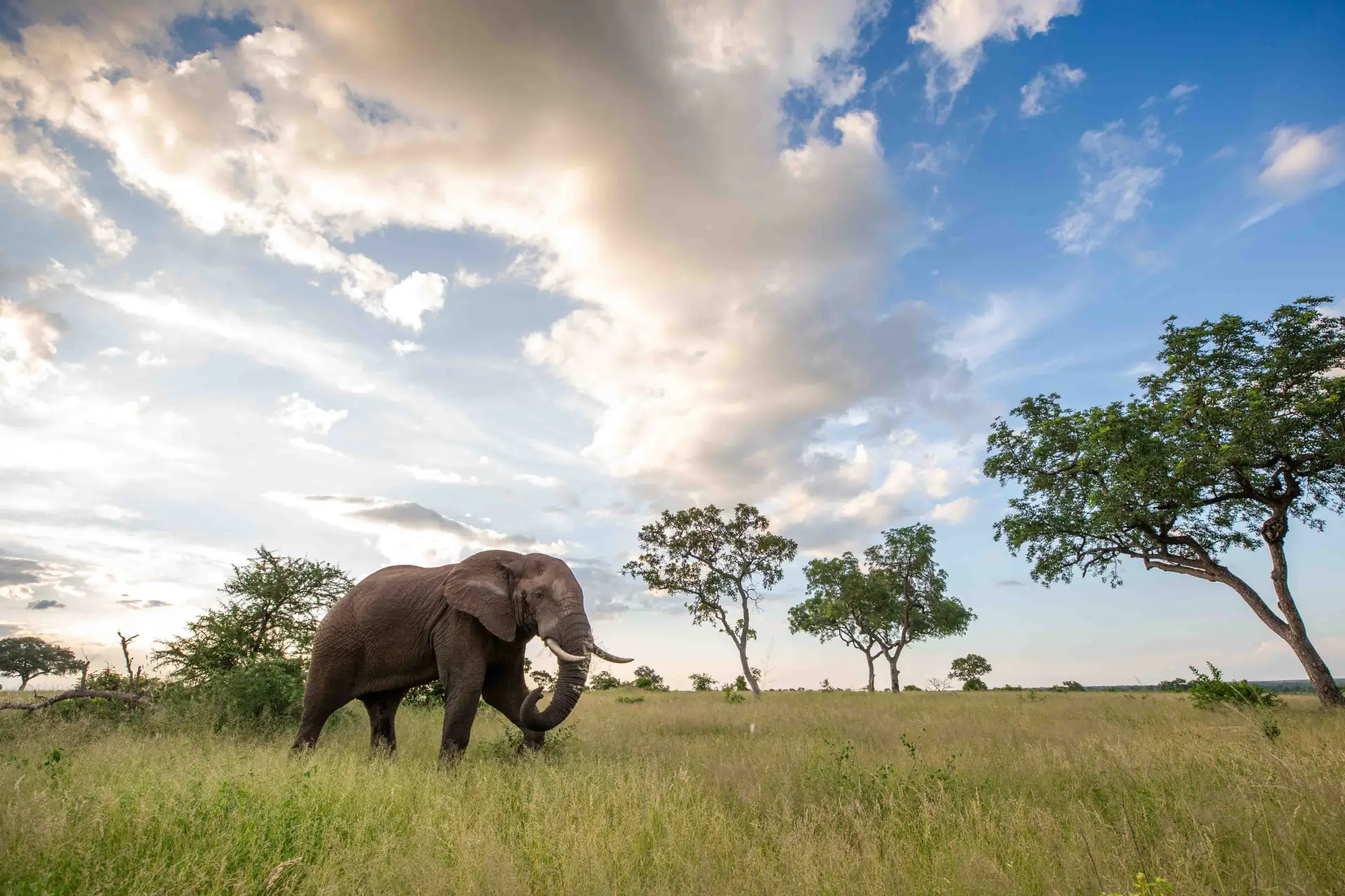 Beyond Wildlife: The Hidden Gems of Tanzania
